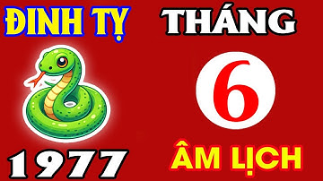 Xem Tử Vi Tháng 6 Âm Lịch Năm 2025 Cho Bản Mệnh Tuổi Đinh Tỵ 1977