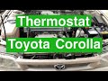 How to replace thermostat: Toyota Corolla 1991 to 2002