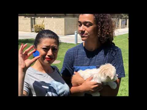 Razz Berry Meets Her New Family July 13 2019 a Riverside County Animal Services Video Short