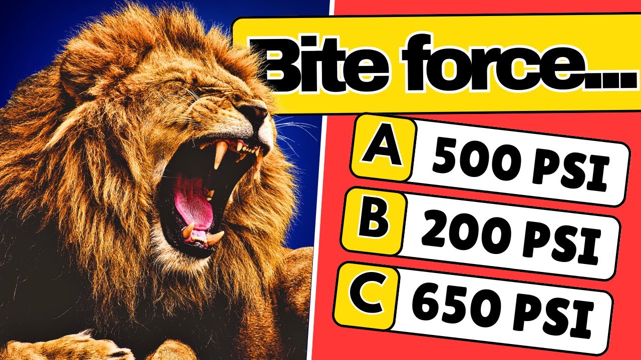 🧠 How Well Do You Know Animals? 🦁🦓✅ 33 General Knowledge Trivia Quiz #quizgentry