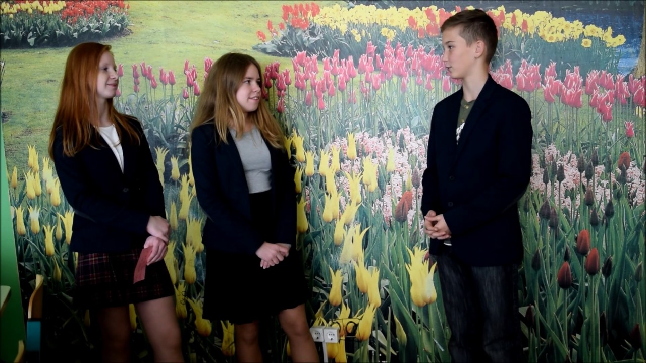 Klausimėlis, skirtas Vokiečių kalbos dienai