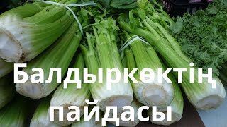 Балдыркөктің(сельдерей) пайдасы #денсаулық#пайдалы#балдыркөк #көкөніс#қызылша#алма#сәбіз #мейіз