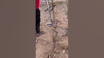 Vegetable bamboo frame installation process #easy #smartwork #short