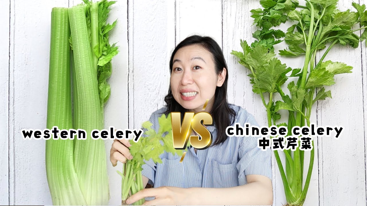 Why Does Chinese Food Cause Migraines