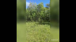 VID 20220629 WA0066