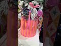 Raz 17" Pink Stiped Package Christmas Tree Stand 4650822