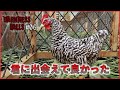 【Darkness Falls】06 食料問題解決！鶏小屋さえあればお腹が満たされる！！クラスファーマーの実力(7 Days to die)