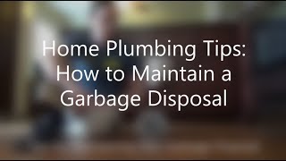 Home Plumbing Tips: How to Maintain Your Garbage Disposal by Zippy Plumber 40 views 5 years ago 1 minute, 27 seconds