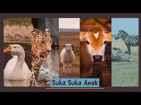 nama-hewan-dan-suara-nya-dalam-bahasa-indonesia-#gajah-#zebra-#singa-#harimau-#sapi-#badak