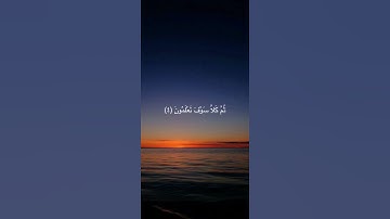 سورة التكاثر 🌸قرآن كريم 🌸القارئ ياسر الدوسري 🌸