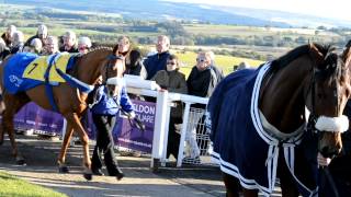 [HD] Hexham Races Parade Ring (Free-to-use clip)