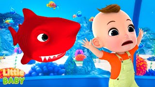 Baby Shark Song   More Nursery Rhymes & Kids Songs | Little Baby