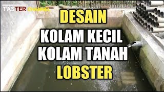 KOLAM TANAH LOBSTER