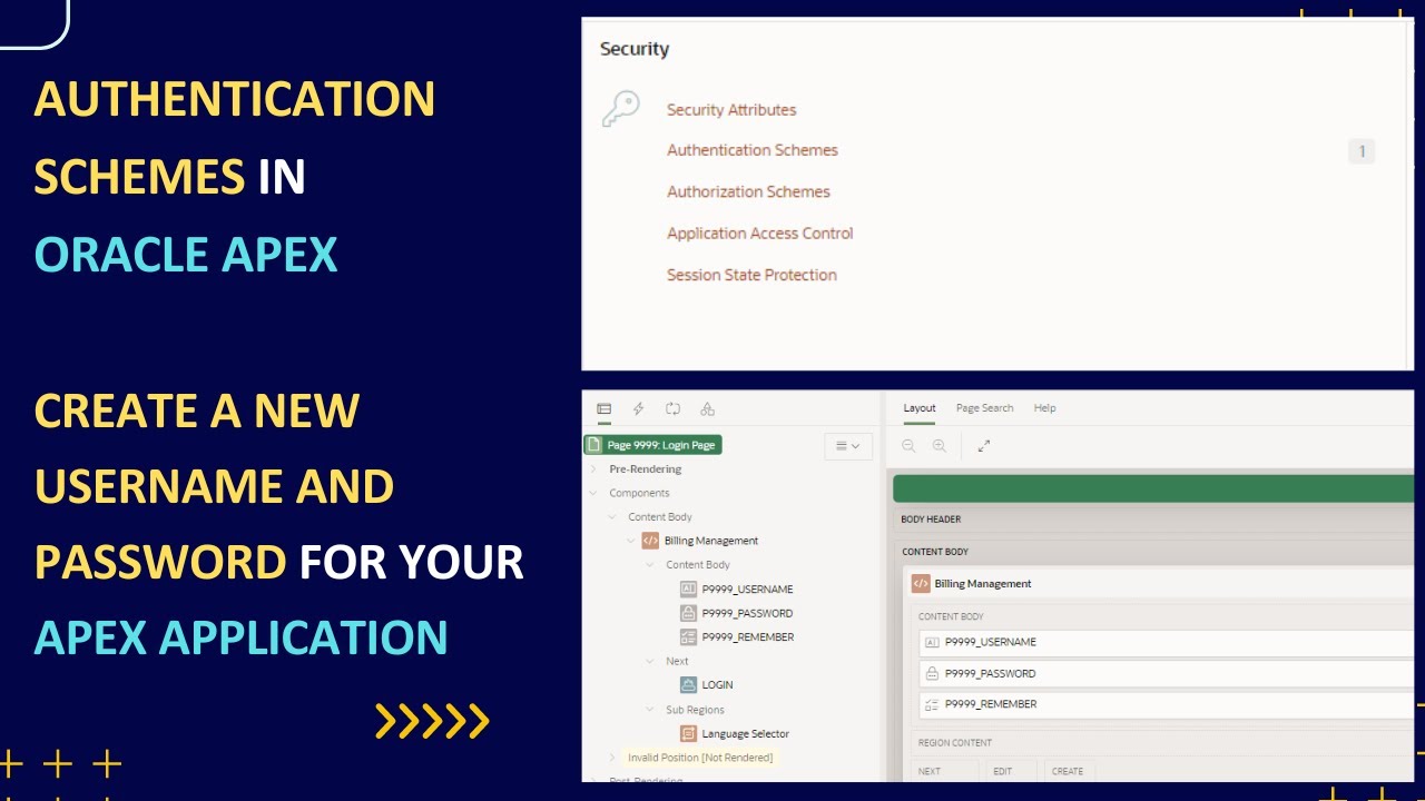 assign custom permission to user in apex