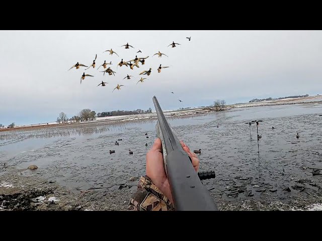 EPIC 5-MAN LIMIT Ice Hole Duck Hunt! (THEY WANTED IN) class=