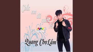 Chắc Em Đã Quên Rồi (Speedup Remix)