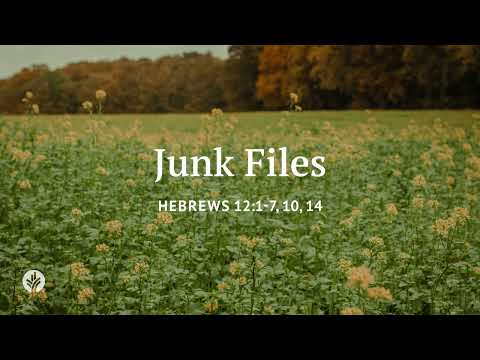 Junk Files | Our Daily Bread | Daily Devotional