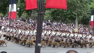 14 Juillet 2019 Paris - 132 ème Regiment d'Infanterie Cynotechnique