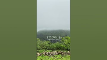 آذكرو الله 🤍.    القارئ: #ياسر_الدوسري                   #quran #قرآن #قران_كريم #قران #اجر_لي_ولك