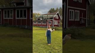 Schwedenhaus Renovierung Woche 8+9 🏡🇸🇪 #hausrenovierung #schwedenhaus #schweden #renovierung