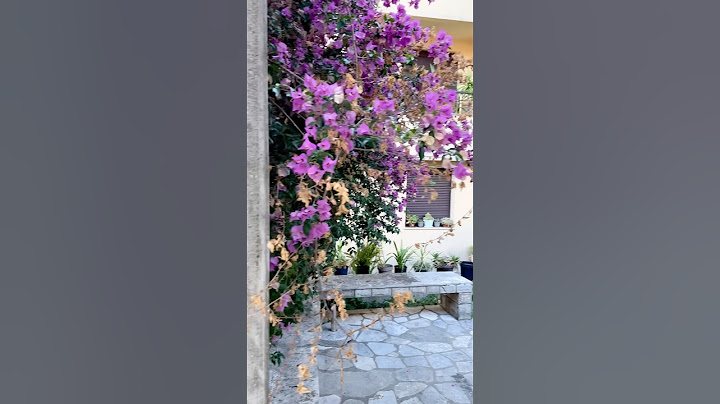 Jednosoban stan Savina Herceg Novi. Povrsina stana 32m2. #crnagora #nekretnine #apartmani #stannadan