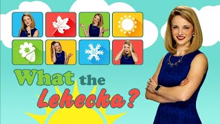 What The Lehecka: Tour of the Newsroom