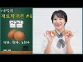 재료학개론 #4 | 달걀 | 재료를 이해하면 베이킹이 보인다. | 베이킹재료에 대한 심도있는 분석을 시작합니다! | 서우쌤이 알려주는 베이킹재료의 기능과 역할