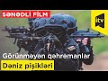 Sənədli film: "Görünməyən qəhrəmanlar - Dəniz pişikləri"
