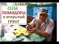 Посев СЕМЯН ПОМИДОР в открытый ГРУНТ