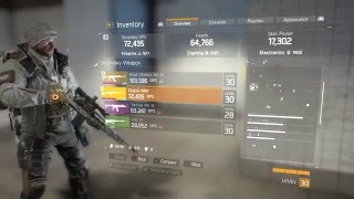 The Division - Best Marksman Sniper Rifle (High-End Classic M1A)