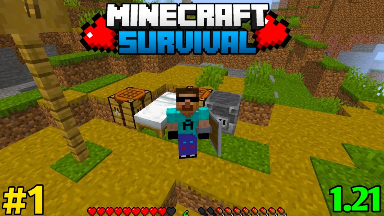 Minecraft Java Survival Series | Episode 1 - YouTube