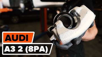 Hvordan bytte foran bremsecaliper der på AUDI A3 2 (8PA) [AUTODOC-VIDEOLEKSJONER]