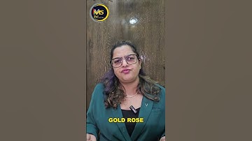 Diversification: The Golden Rule of Investing for Long-Term Wealth