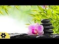 Zen Music, Relaxing Music, Calming Music, Stress Relief Music, Peaceful Music, Relax, ✿3256C