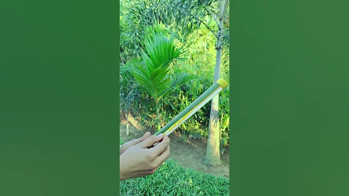 DIY Bamboo Creation with Colourful Balloon Slingleshot #Diy #Slingshot #Bamboo