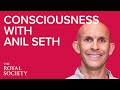 Consciousness in humans and other things with anil k seth  the royal society