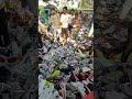 CHEAPEST SHOES MARKET IN DELHI Shorts
