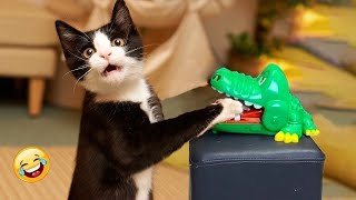 Funniest Animals 😄 Best Funny Dogs and Cats Compilation 2024#99