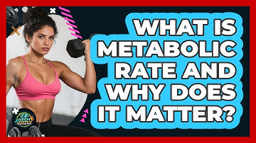 What Is Metabolic Rate And Why Does It Matter? - High Energy Training Hub