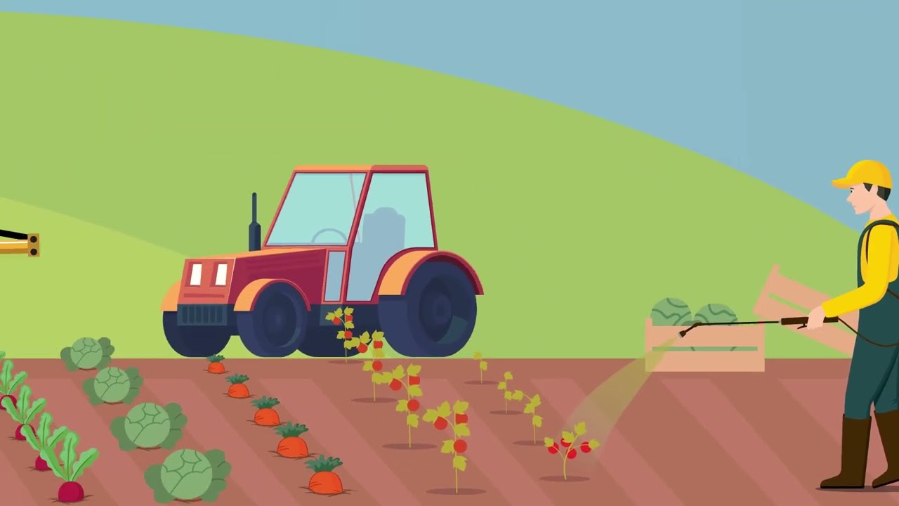 The Future of Organic Farming: Amino Acid Production from Sheep Wool with Agrowool