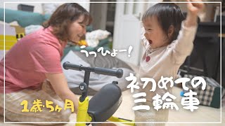 三輪車買って大喜びの赤ちゃん【1歳5ヶ月】