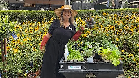 How to Plant Your Fall Vegepod with Suzanne Hetrick