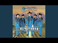 Descargar El Aguacatero Michoacano - Los Originales de San Juan (Suscribete) Descargar El Aguacatero Michoacano - Los Originales de San Juan (Suscribete)