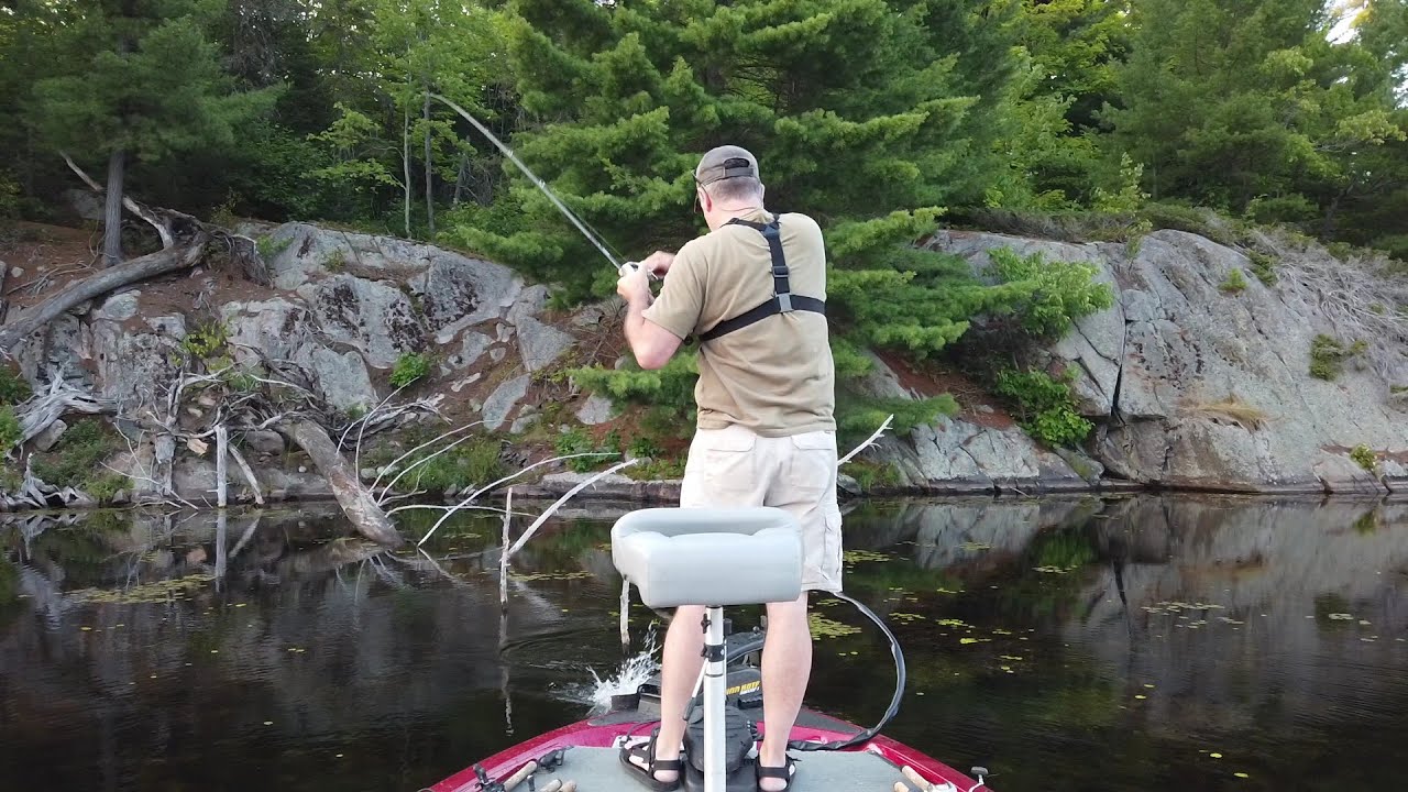 Pitchin' Junk Pile Largemouth Bass