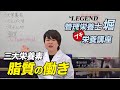 【プチ栄養講座】脂質の働きと種類を解説！「ビーレジェンド管理栄養士 堀のプチ栄養講座」【ビーレジェンド プロテイン】