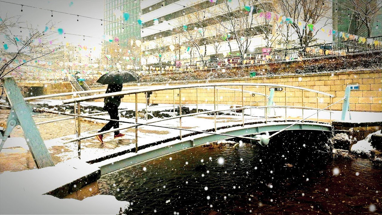 Шонгьечхонский поток снегопада из арктической холодной волны~ Эгрет, цапля и маллард пары