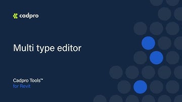 Multi type editor - Cadpro Tools