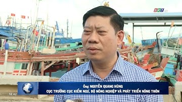 Đoàn công tác Bộ NN&PTNT kiểm tra chống khai thác IUU tại cảng Cát Lở | BRTgo