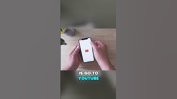 Sample Directly from YouTube into Koala Sampler