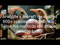 The Ancient Genius Who Invented Logic & Classified Life 🌿🔍 | #FatherOfScience